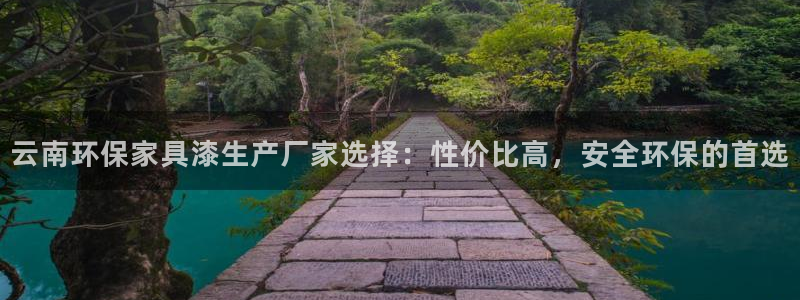 杏宇平台怎样