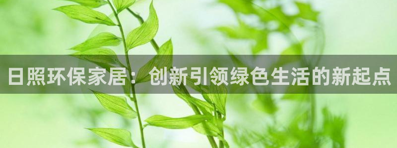 杏宇平台注册会员：日照环保家居：创新引领绿色生活的新起点