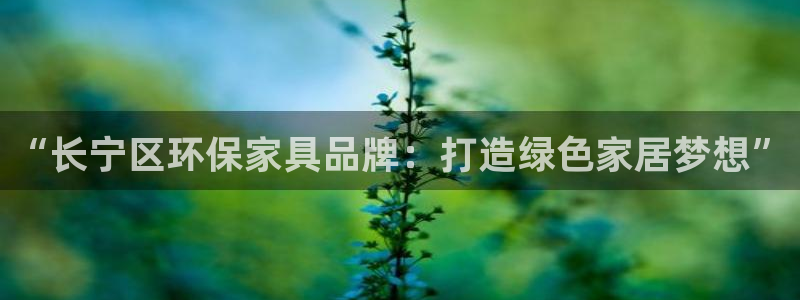杏宇平台注册流程：“长宁区环保家具品牌：打造绿色家居梦想”