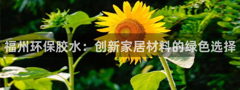 杏宇代理日工资多少