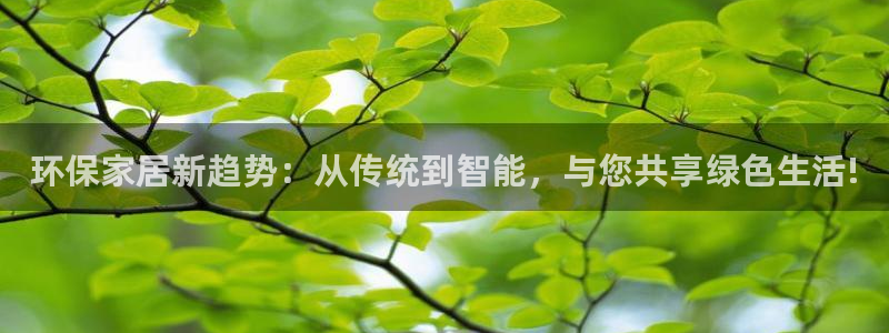 杏宇代理1980