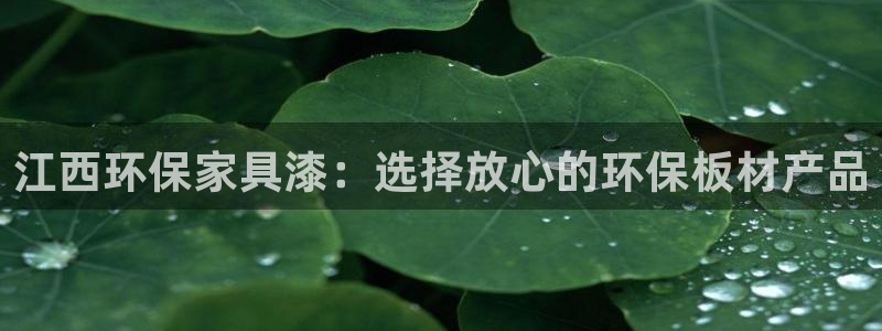杏宇平台注册：江西环保家具漆：选择放心的环保板材产品