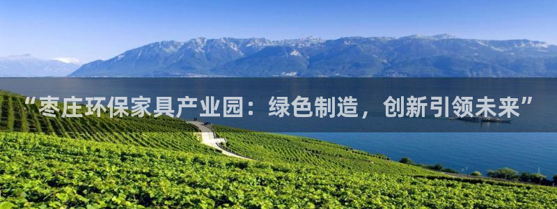 杏宇平台没有了