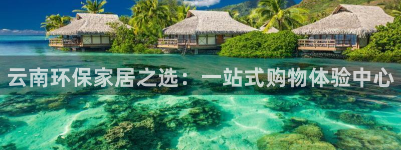 杏宇总代：云南环保家居之选：一站式购物体验中心