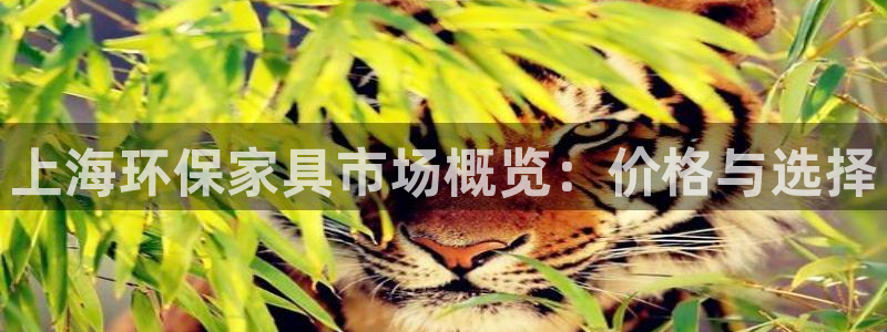 杏宇代理登录中心怎么进：上海环保家具市场概览：价格与选择