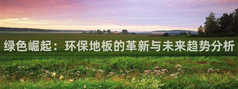 杏宇平台注册会员：绿色崛起：环保地板的革新与未来趋势分析