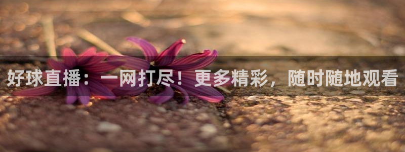 龙门直播下载：好球直播：一网打尽！更多精彩，随时随地观看