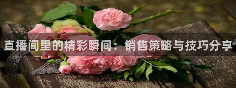 龙门直播在线直播