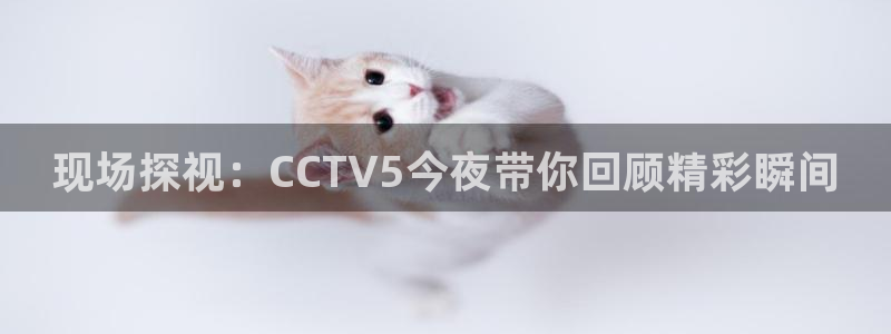 龙门直播app足球直播下载