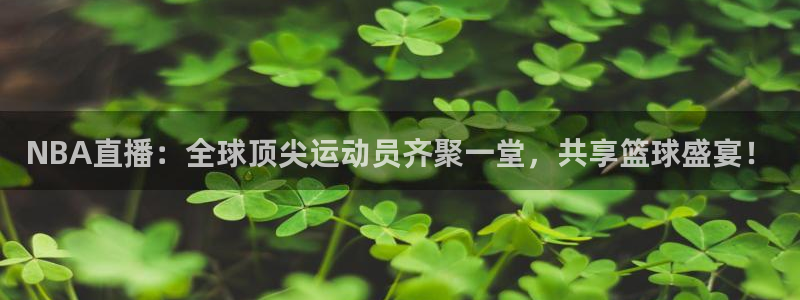 龙门直播体育直播