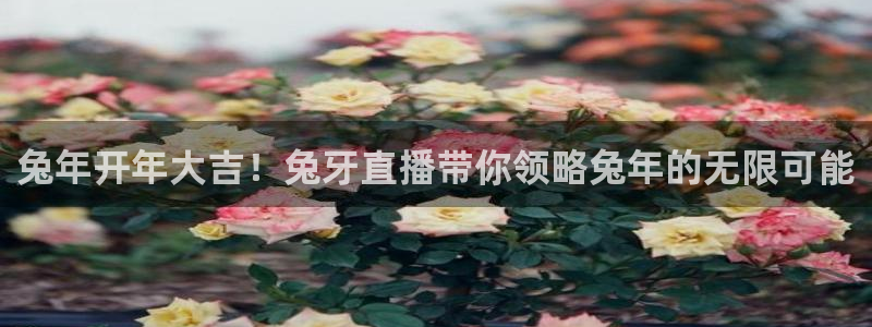 龙门直播足球：兔年开年大吉！兔牙直播带你领略兔年的无限可能