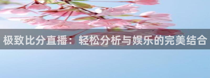 龙门直播nba免费直播入口：极致比分直播：轻松分析与娱乐的完美结合