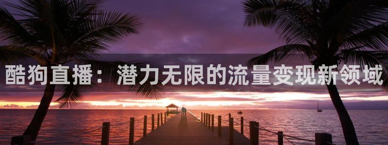 龙门体育视频直播：酷狗直播：潜力无限的流量变现新领域