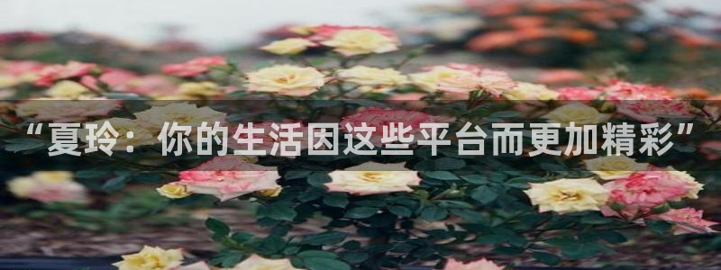 龙门直播app足球直播：“夏玲：你的生活因这些平台而更加精彩”