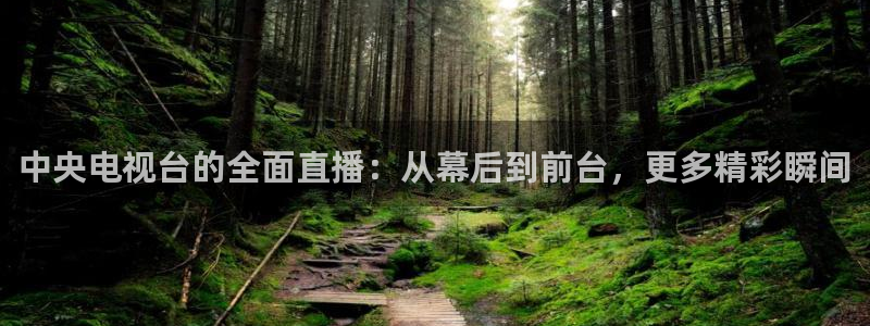龙门飞甲哪个平台可以看