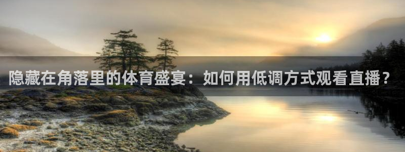 龙门飞甲粤语在线看：隐藏在角落里的体育盛宴：如何用低调方式观看直播？