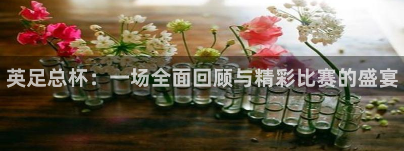 龙门镖局超清在线观看：英足总杯：一场全面回顾与精彩比赛的盛宴