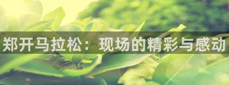 龙门直播app足球直播下载手机版：郑开马拉松：现场的精彩与感动